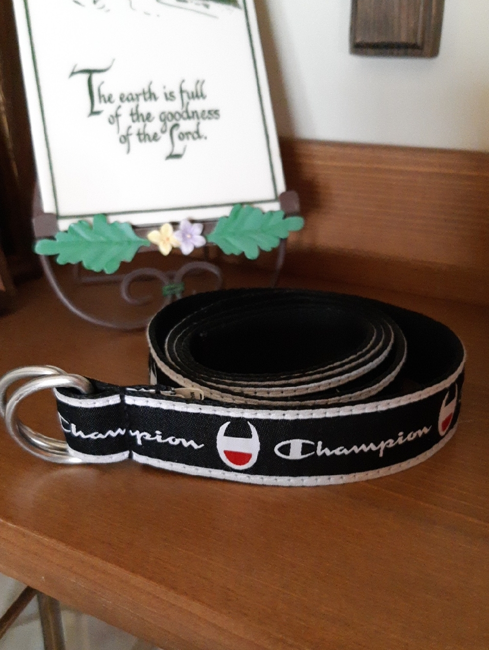 Champion Belt
